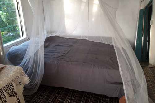 Click for Bungalow East images