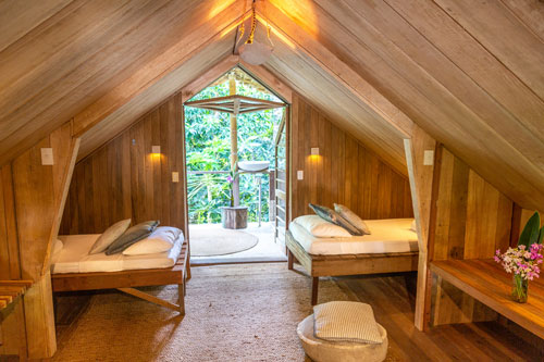 Click for Fire Fly images