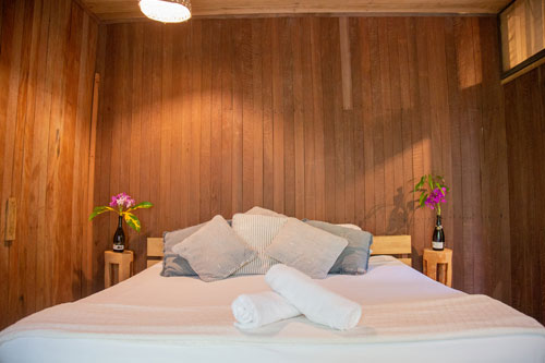 Click for Sleeping Coconuts images