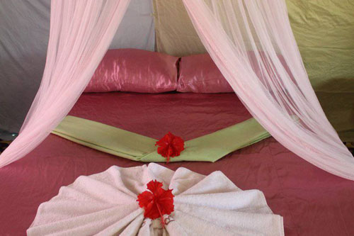 Click for Coral Bungalow images Click for Coral Bungalow images