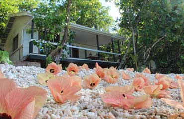 Evis Resort Nggatirana Island Holiday Packages